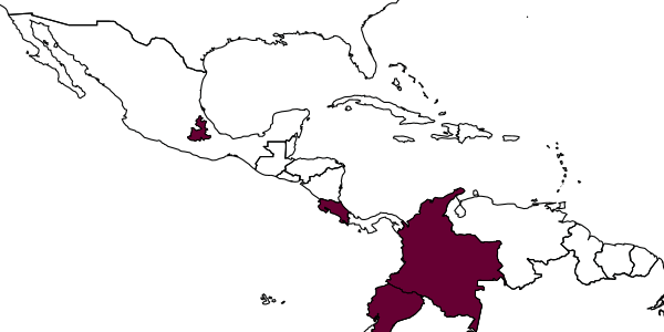 map of Rhopalum vallense     Leclercq, 2002